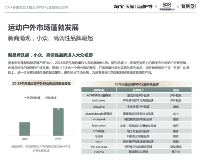 口：中产看不上穷鬼穿不起AG真人迪卡侬的十字路(图4)