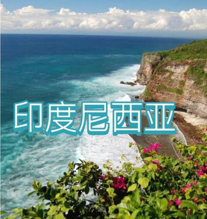 国际电商(印尼)产业博览会AG真人网站2025中国(图3)