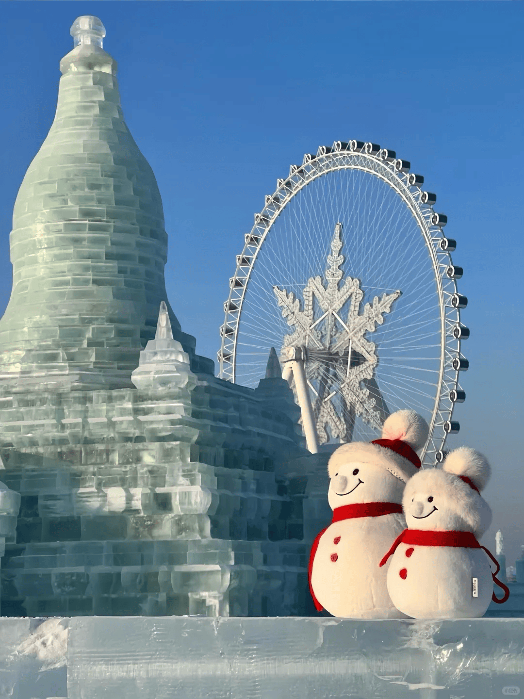 ？看懂这‘十大’背后的口碑与门道AG真人地址哈尔滨旅行社怎么选(图3)